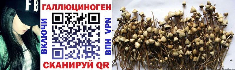 Псилоцибиновые грибы GOLDEN TEACHER  Ефремов 